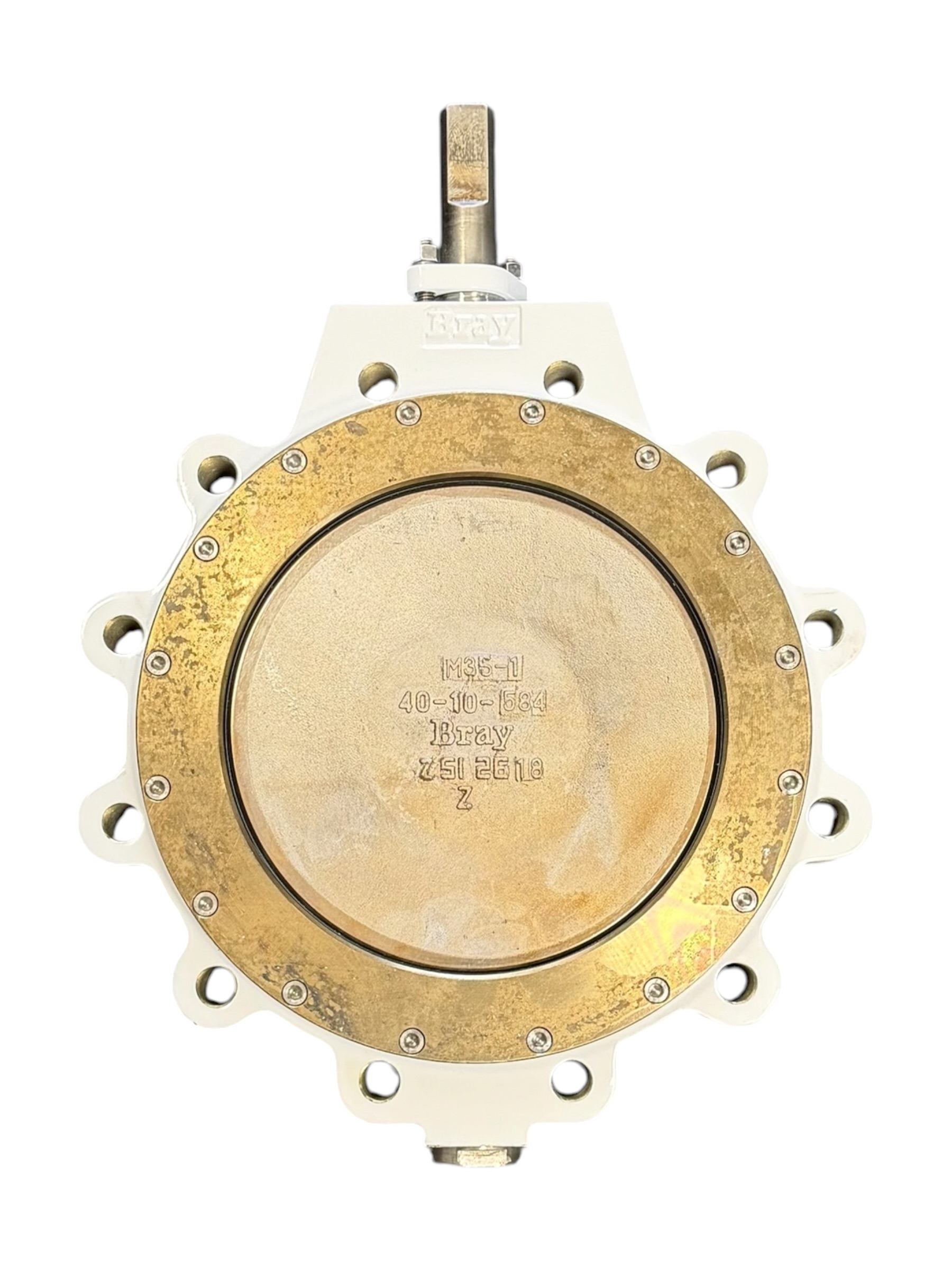 bray-series-41-mccannalok-high-perf-butterfly-valve-10-dn-250-asme-class-150-brandon-y-20260722-140406-378093
