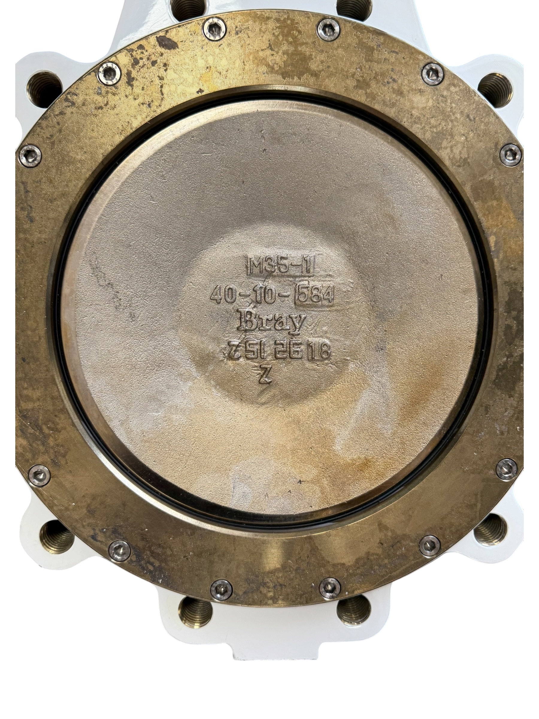 bray-series-41-mccannalok-high-perf-butterfly-valve-10-dn-250-asme-class-150-brandon-y-20260722-140415-859254