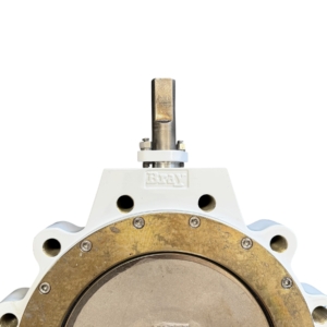 bray-series-41-mccannalok-high-perf-butterfly-valve-10-dn-250-asme-class-150-brandon-y-20260722-140417-846592