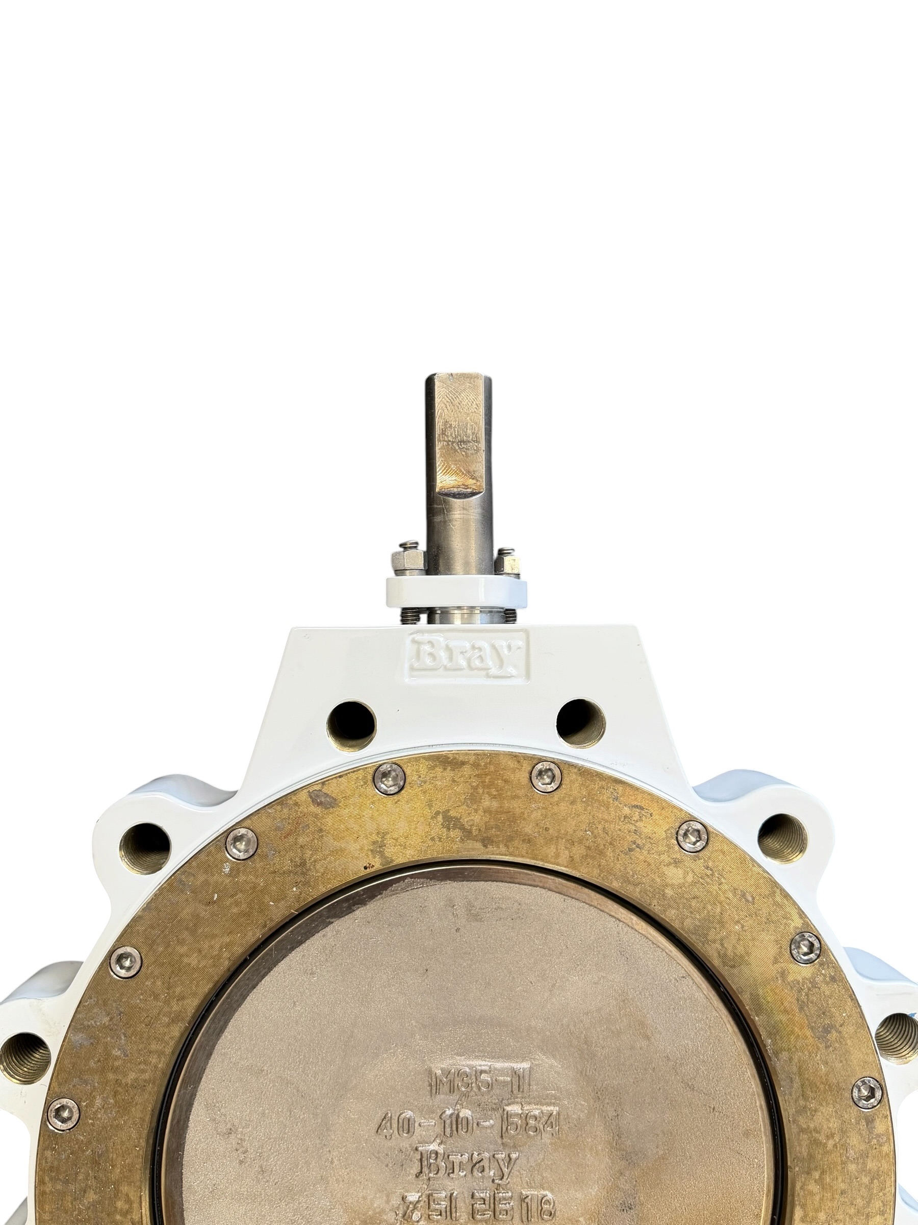 bray-series-41-mccannalok-high-perf-butterfly-valve-10-dn-250-asme-class-150-brandon-y-20260722-140417-846592