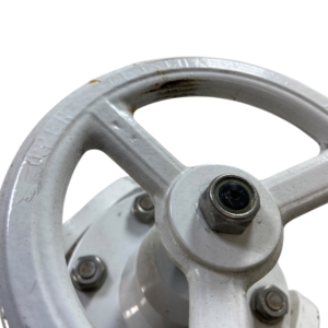 econ-piston-type-flanged-check-valve-dn65-2-5-pn16-blem-oem-rubby-pueyo-20260706-134153-452034