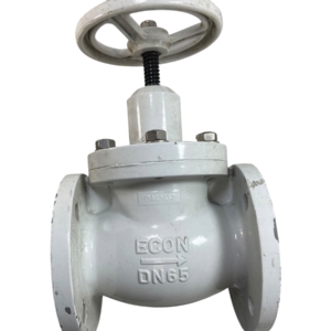 econ-piston-type-flanged-check-valve-dn65-2-5-pn16-blem-oem-rubby-pueyo-20260706-134155-650345