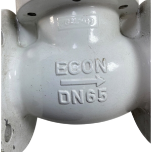 econ-piston-type-flanged-check-valve-dn65-2-5-pn16-blem-oem-rubby-pueyo-20260706-134158-46613