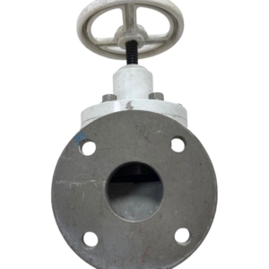 econ-piston-type-flanged-check-valve-dn65-2-5-pn16-blem-oem-rubby-pueyo-20260706-134210-285548