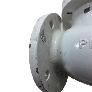 econ-piston-type-flanged-check-valve-dn65-2-5-pn16-blem-oem-rubby-pueyo-20260706-134230-518580