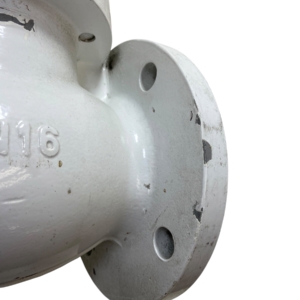 econ-piston-type-flanged-check-valve-dn65-2-5-pn16-blem-oem-rubby-pueyo-20260706-134232-947991