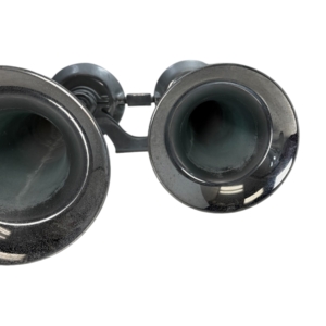 kahlenberg-bros-d-1-dual-chimetone-air-horn-chrome-oem-blem-brandon-y-20260721-121514-825136