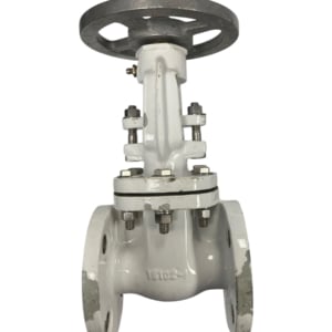 pima-flanged-gate-valve-1-1-2-100-wog-class-150-missing-nut-new-oem-rubby-pueyo-20260707-093505-209599