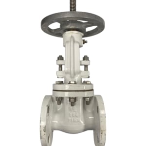 pima-flanged-gate-valve-1-1-2-100-wog-class-150-missing-nut-new-oem-rubby-pueyo-20260707-093518-409564