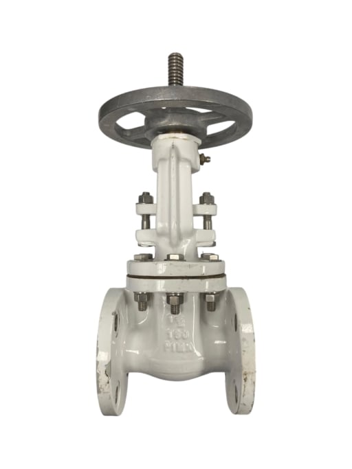 pima-flanged-gate-valve-1-1-2-100-wog-class-150-missing-nut-new-oem-rubby-pueyo-20260707-093518-409564