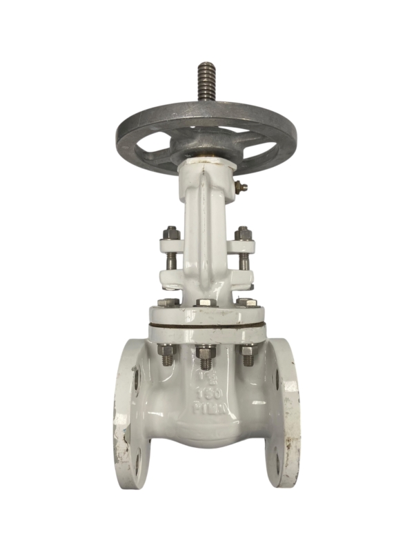 pima-flanged-gate-valve-1-1-2-100-wog-class-150-missing-nut-new-oem-rubby-pueyo-20260707-093518-409564