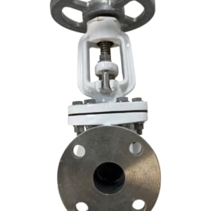 pima-flanged-gate-valve-1-1-2-100-wog-class-150-new-oem-rubby-pueyo-20260706-165921-882400