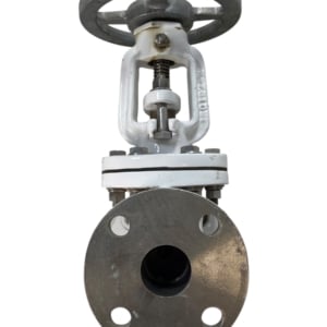 pima-flanged-gate-valve-1-1-2-100-wog-class-150-new-oem-rubby-pueyo-20260706-165931-219868
