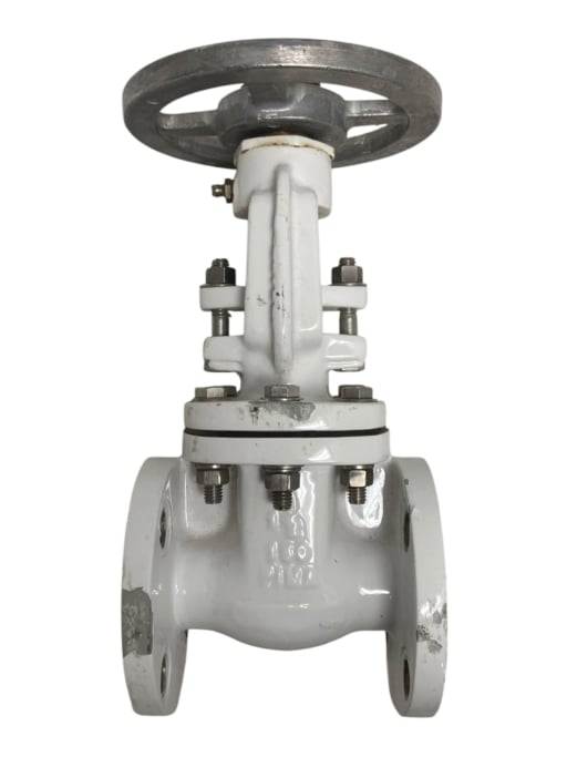 pima-flanged-gate-valve-1-1-2-100-wog-class-150-new-oem-rubby-pueyo-20260706-165937-781369