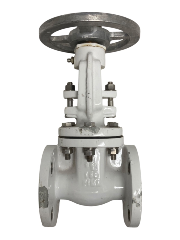pima-flanged-gate-valve-1-1-2-100-wog-class-150-new-oem-rubby-pueyo-20260706-165937-781369