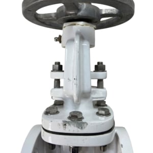 pima-flanged-gate-valve-1-1-2-100-wog-class-150-new-oem-rubby-pueyo-20260706-165942-373384