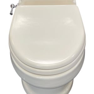 dometic-317475283-vacuflush-toilet-model-4748-24v-bone-new-oem-rubby-pueyo-20260903-150404-640567