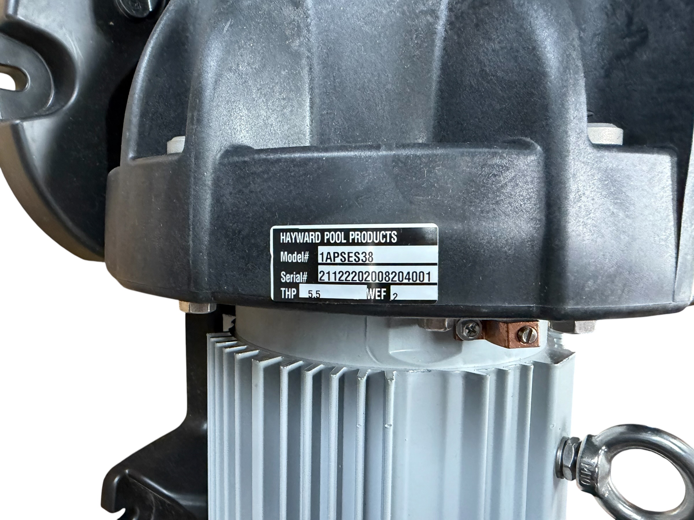 hayward-5hp-3-phase-aquatic-plus-pump-208v-230v-lifestar-mv-series-1apses38-new-brandon-y-20260901-120356-91283